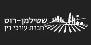 שותף אסטרטגי לקידום אורגני - הצלחה מוכחת