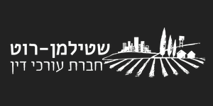 שותף אסטרטגי לקידום אורגני - הצלחה מוכחת